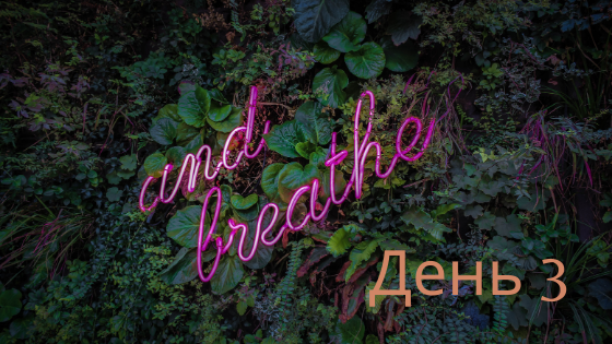 Захищено: День 3-й