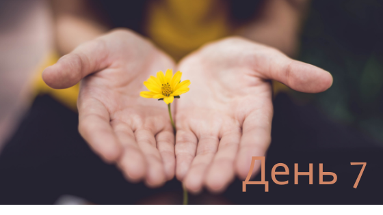 Захищено: День 7-й